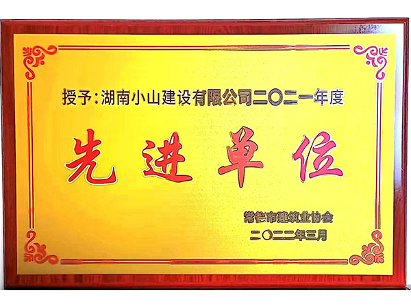 2021年先进单位