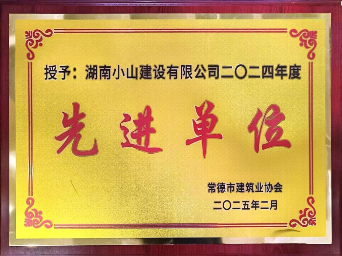 2024年度先进单位